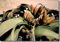 ��������� ������������