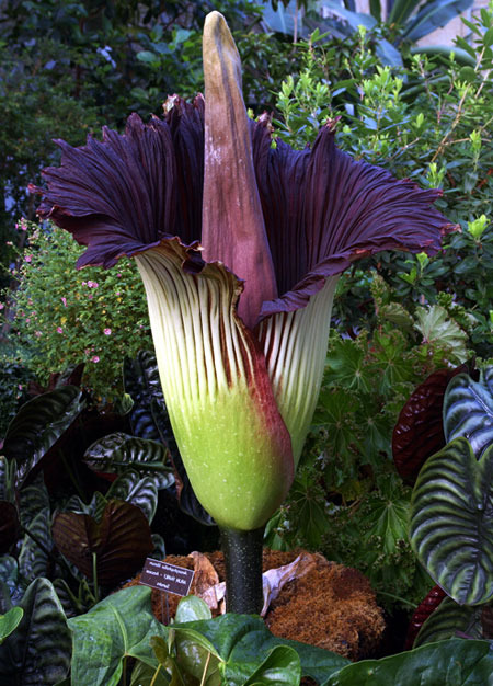 ������������