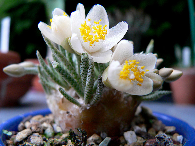 ������������