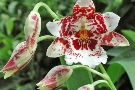 ������������